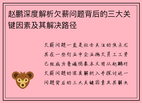 赵鹏深度解析欠薪问题背后的三大关键因素及其解决路径 赵鹏深度解析欠薪问题背后的三大关键因素及其解决路径